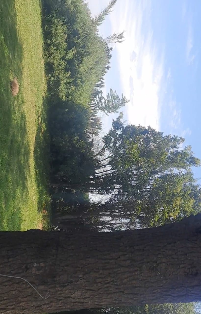 3 Bedroom Property for Sale in Allanridge Free State